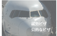 就労ビザ公的な任務